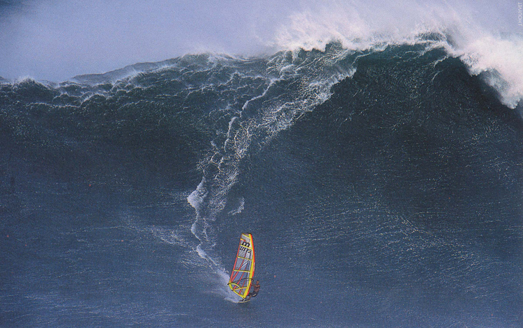 Jaws